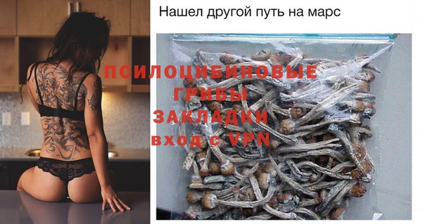 гашик Алзамай