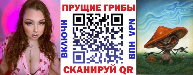 площадка телеграм  что такое   Магадан  Галлюциногенные грибы Psilocybine cubensis 
